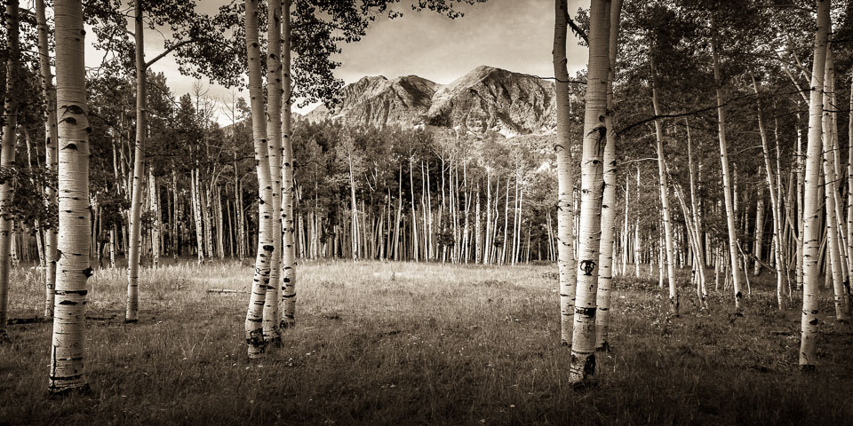 Crested Butte