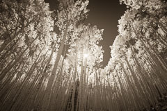 Crested Butte