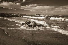 Miscellaneous Ocean Scenes