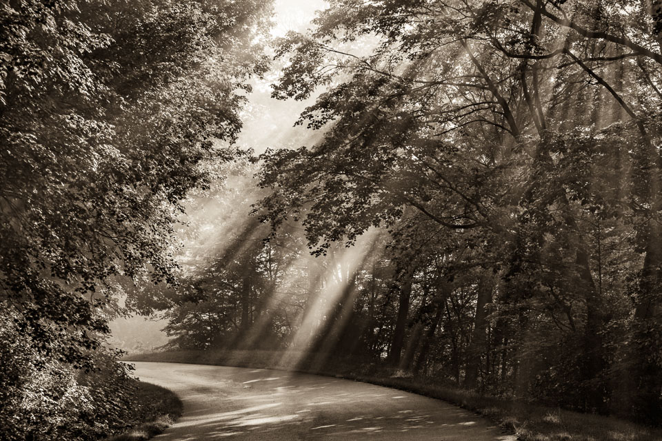 Misty morning on the Blue Ridge Parkway. North Carolina.